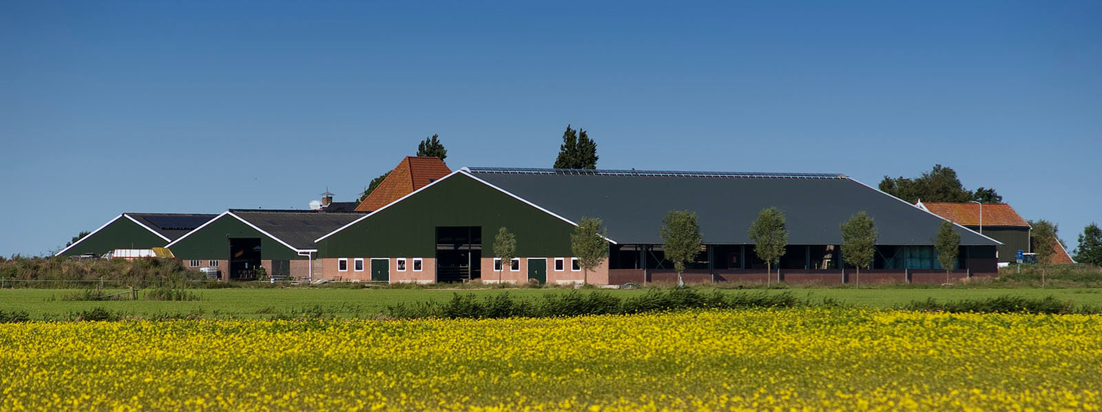 Bedrijfsgebouwen 1 Bedrijfsgebouwen header